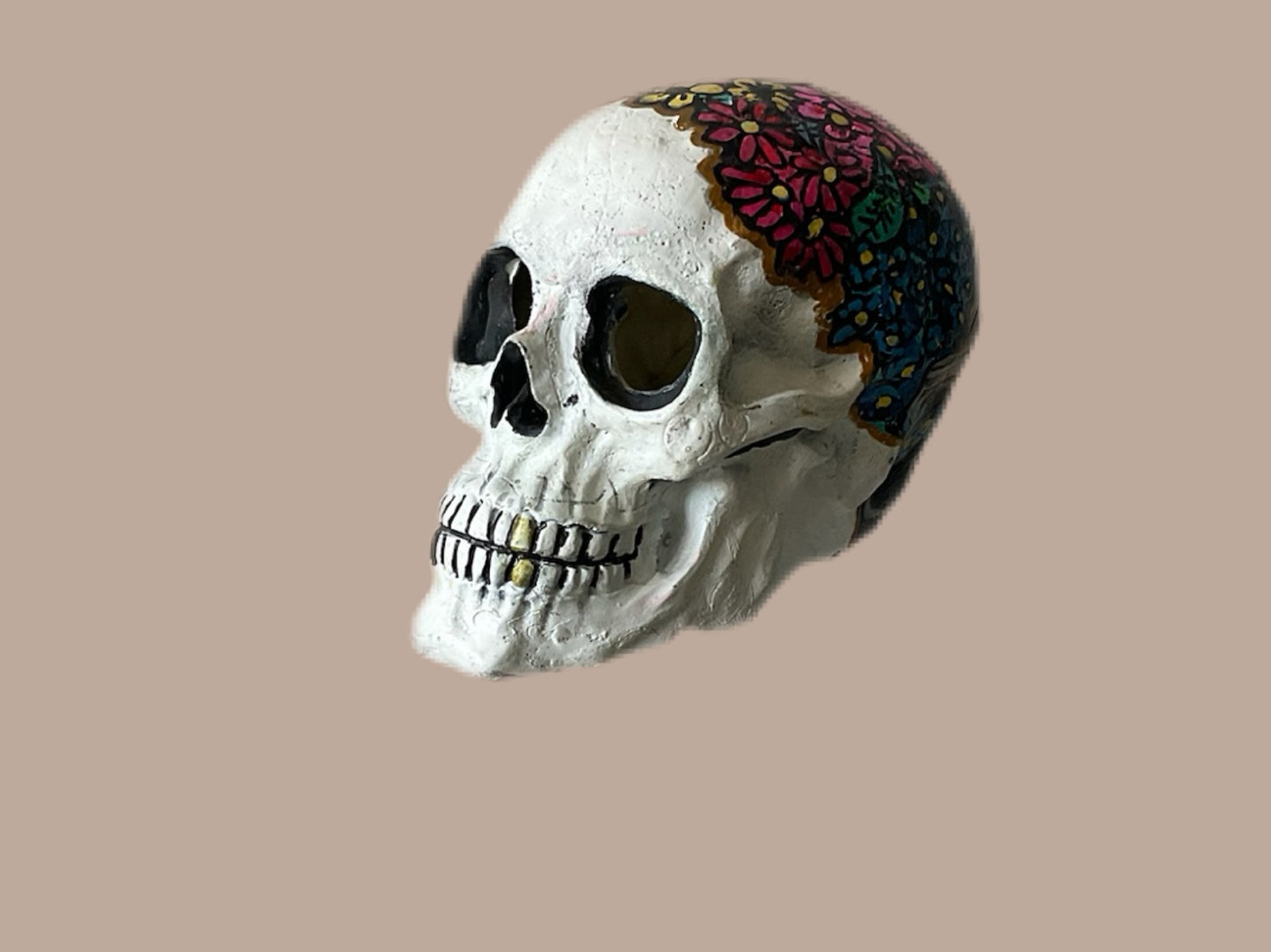 Skull Collection