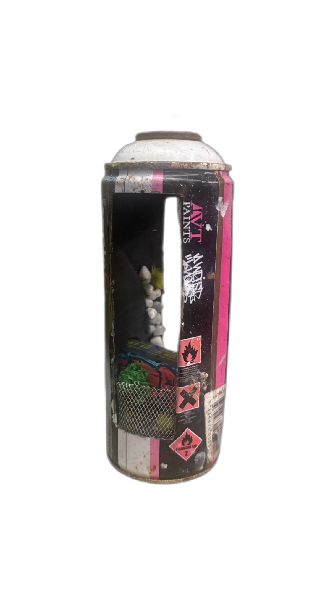 Can Art - Graffitied Train