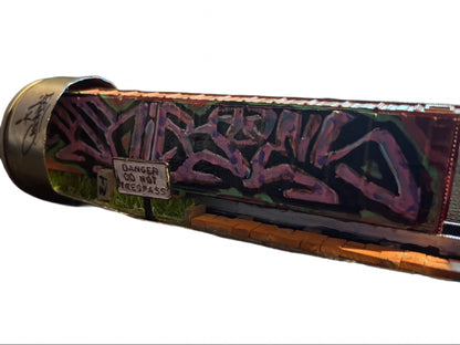 Can Art - Train - No Trespassing