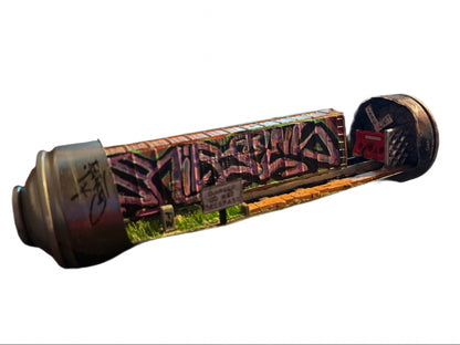 Can Art - Train - No Trespassing