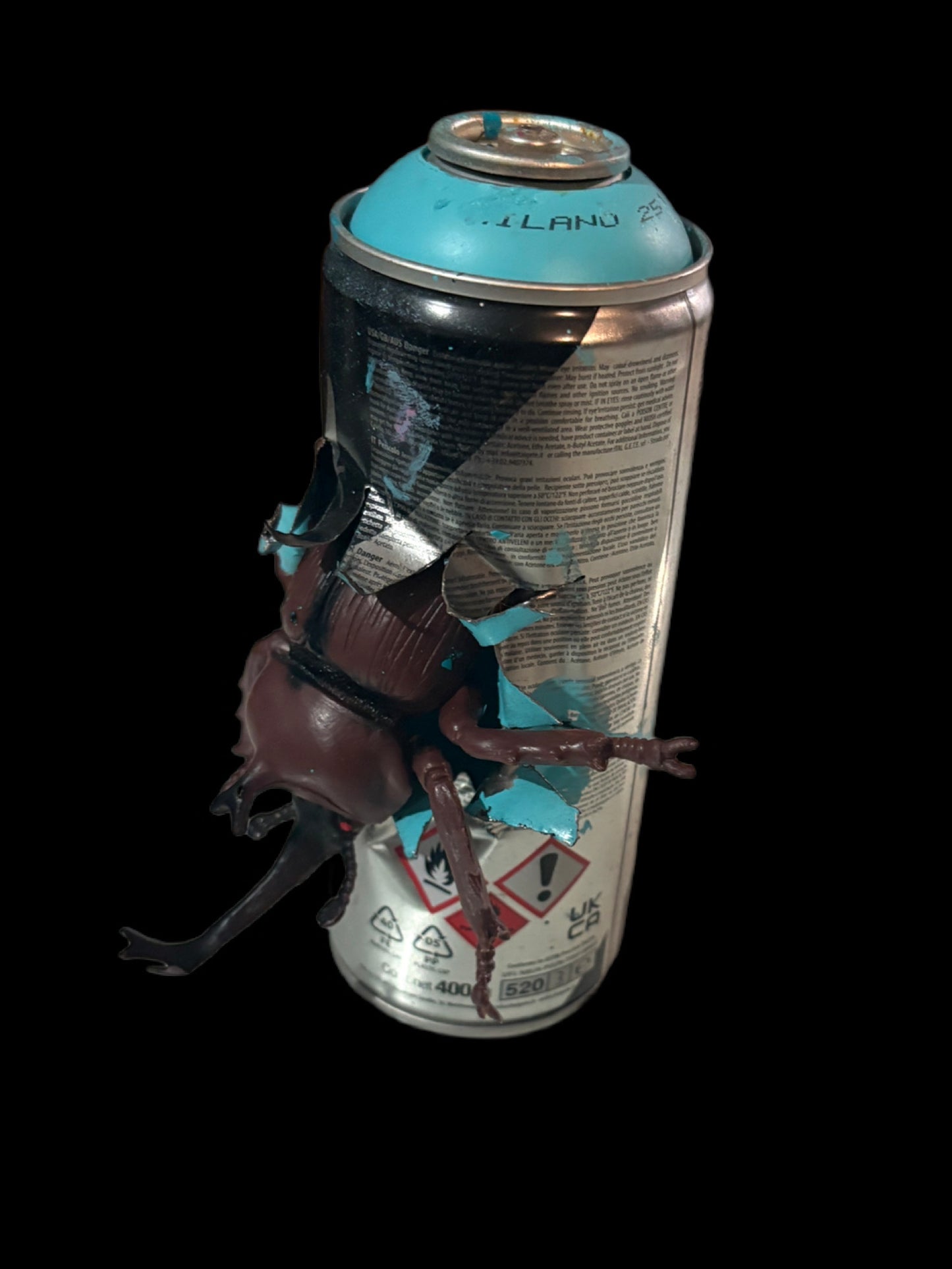 Can Art - Insect Collection