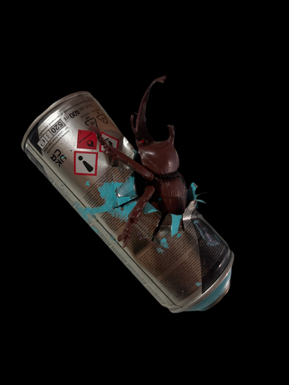 Can Art - Insect Collection