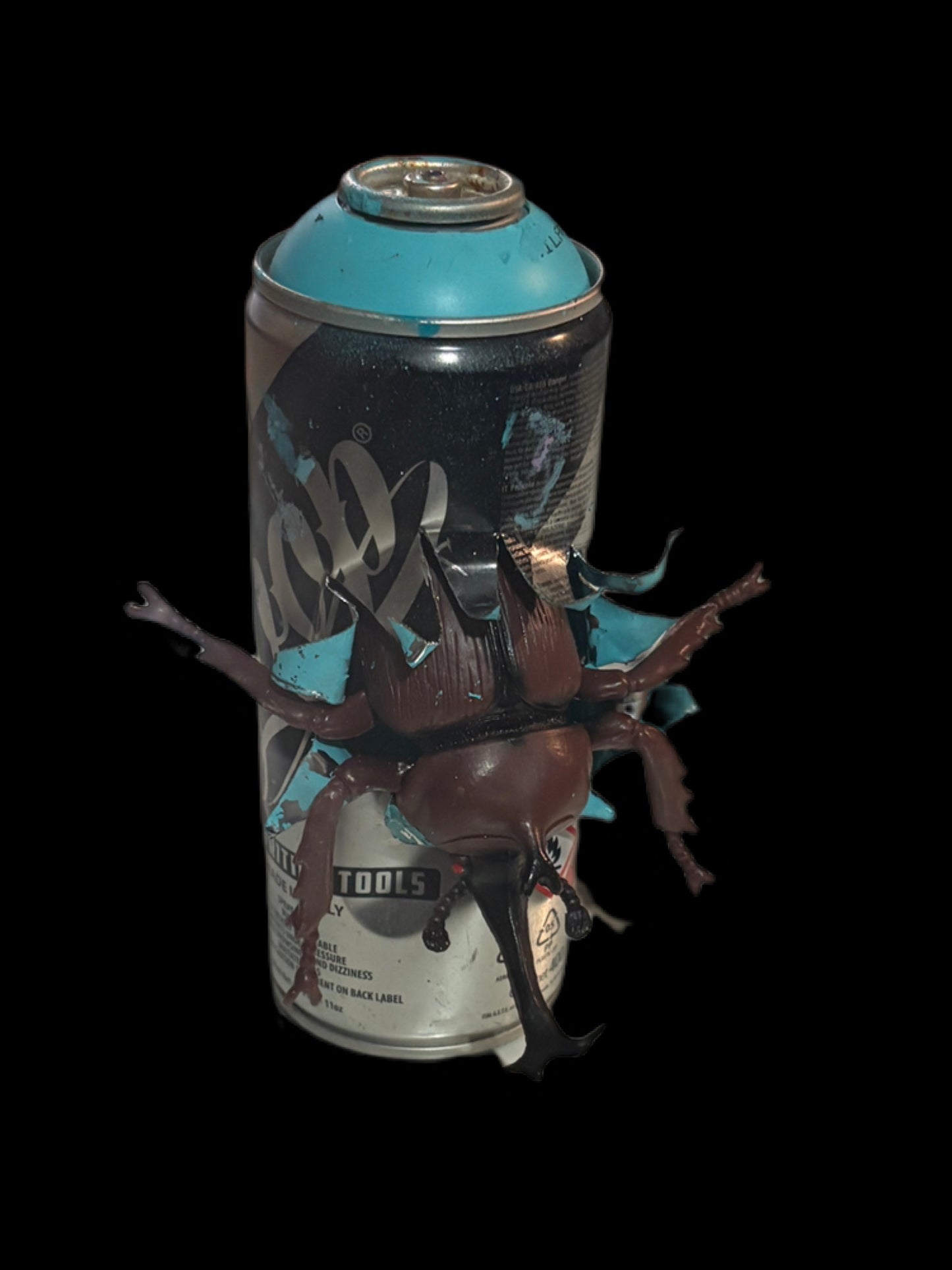 Can Art - Insect Collection