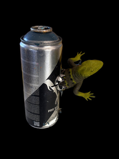 Can Art - Dinosaur Collection