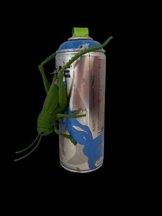 Can Art - Insect Collection