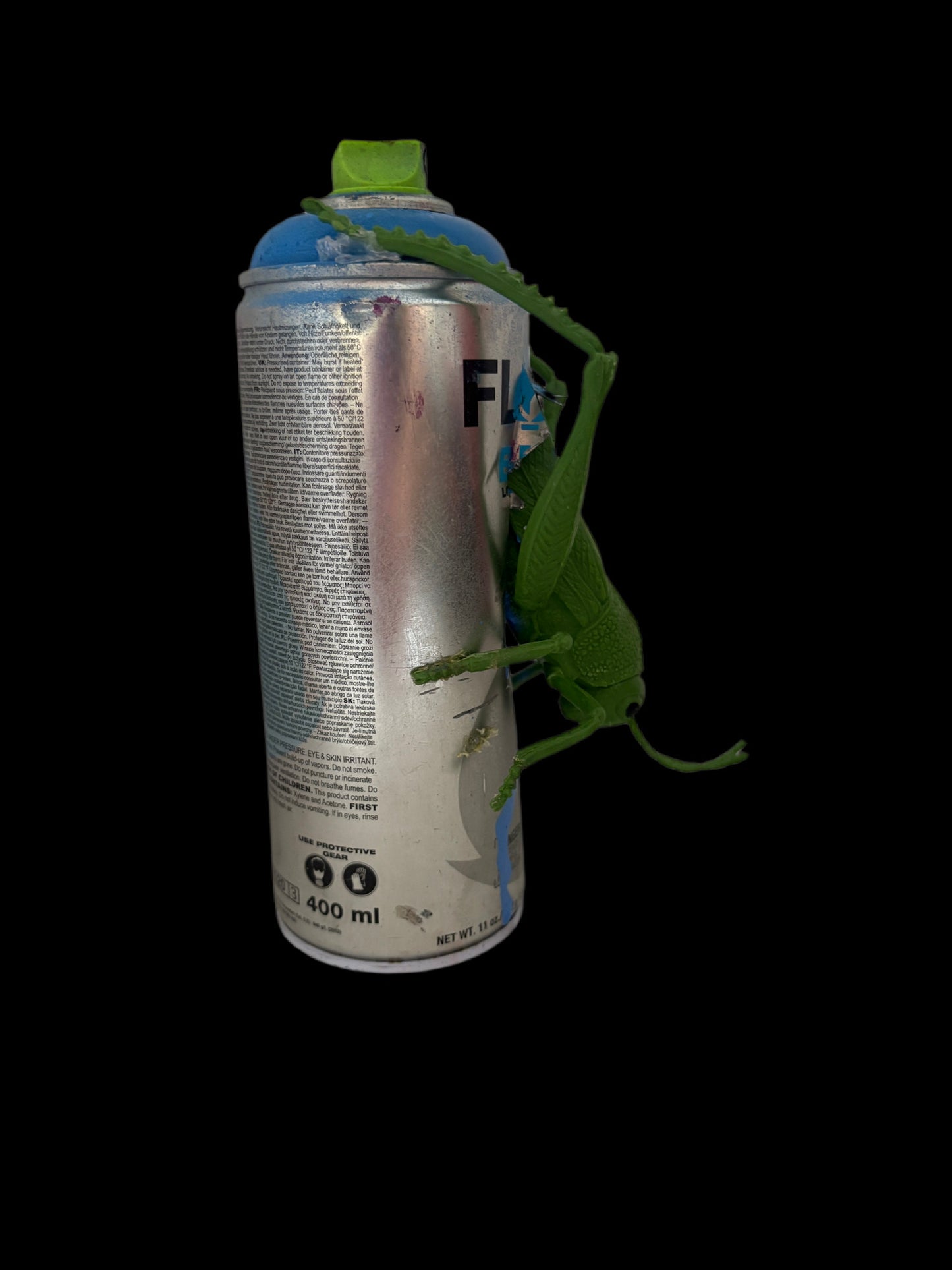 Can Art - Insect Collection