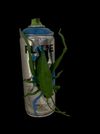 Can Art - Insect Collection