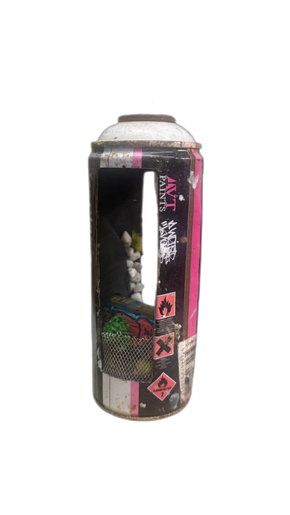 Can Art - Graffitied Train